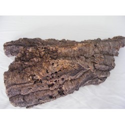 Busta Corteccia Sughero per...