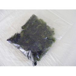 Green lichen bag for...